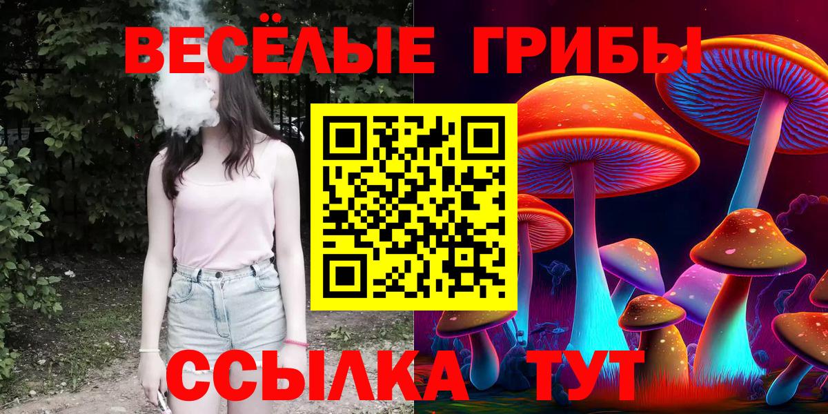Псилоцибиновые грибы ЛСД  Вход с VPN  Александров 