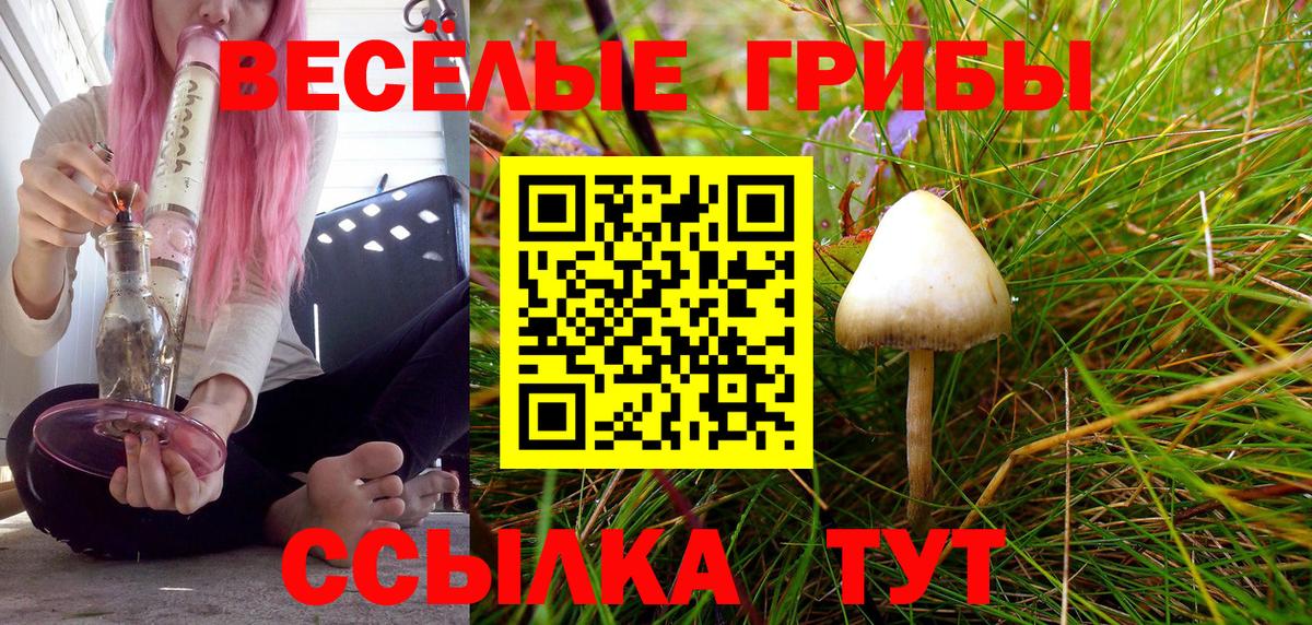 Галлюциногенные грибы Cubensis Александров